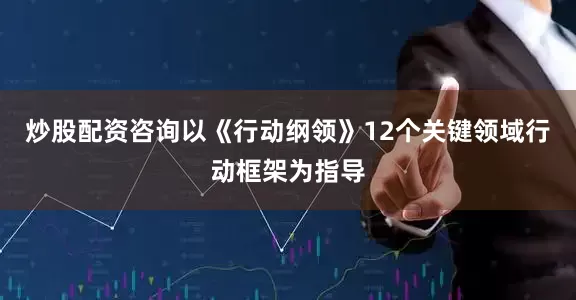 炒股配资咨询以《行动纲领》12个关键领域行动框架为指导