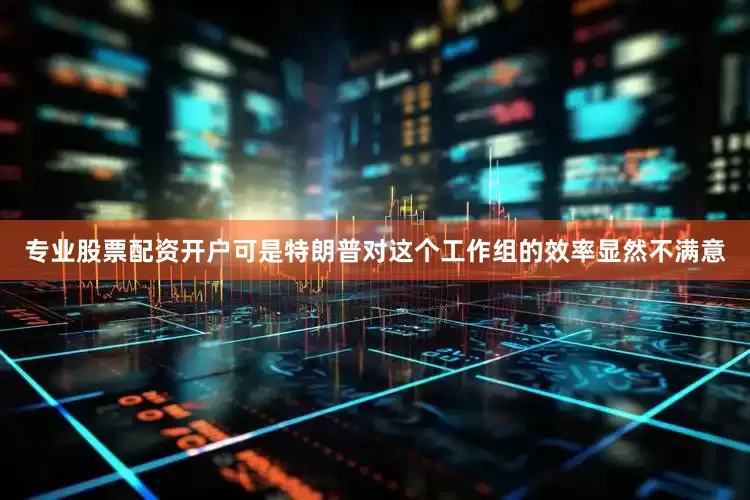 专业股票配资开户可是特朗普对这个工作组的效率显然不满意