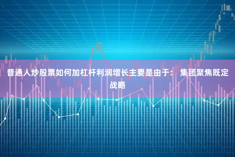 普通人炒股票如何加杠杆利润增长主要是由于： 集团聚焦既定战略
